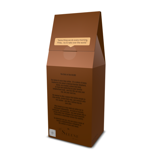 MUSHROOM BRAIN COFFEE | 12oz